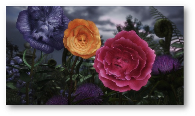 alice-progressao-flores1