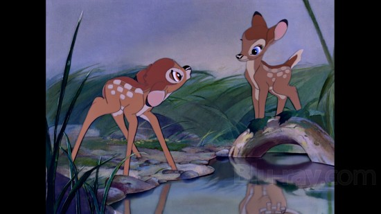 Bambi - 3