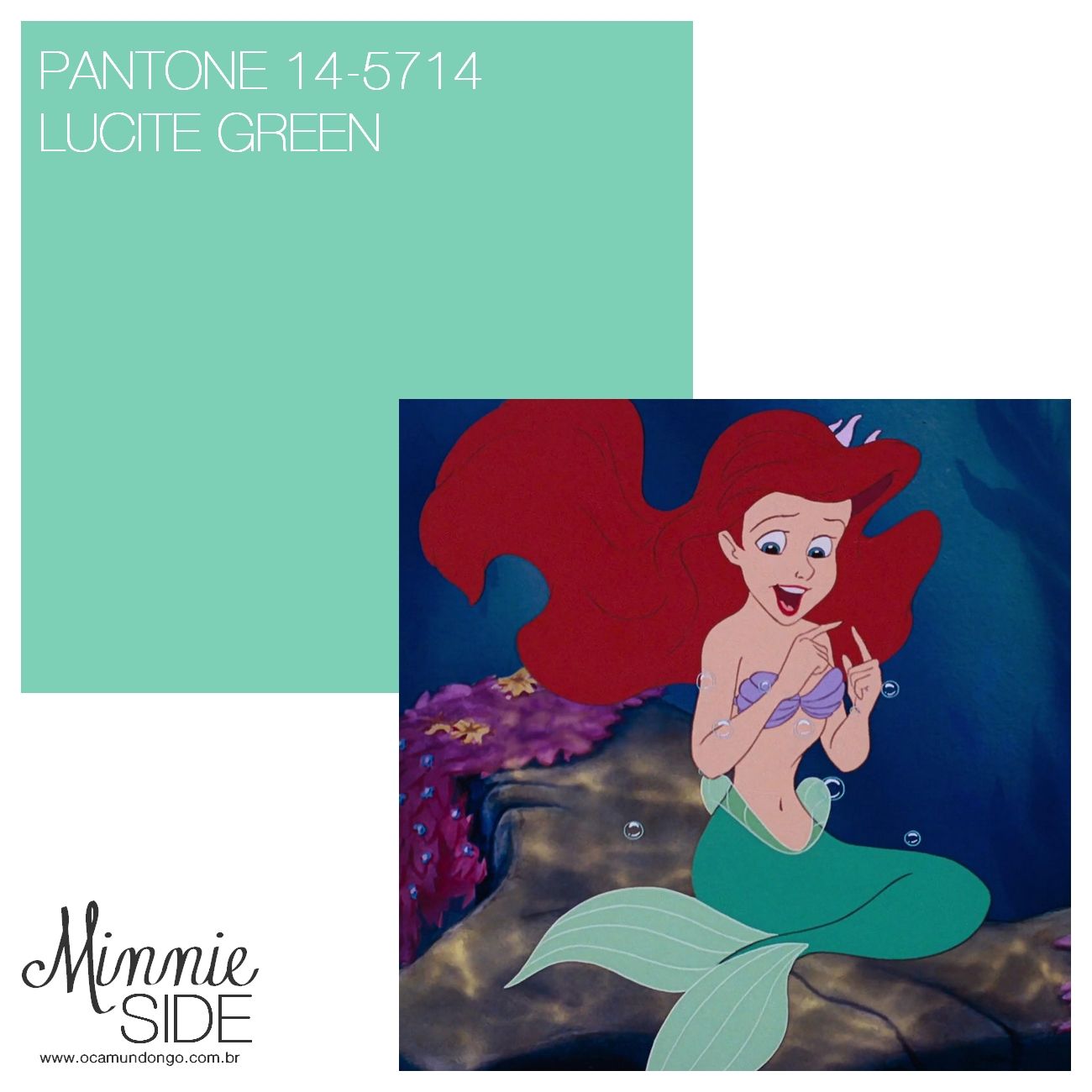 minnie-side-pantone-ariel