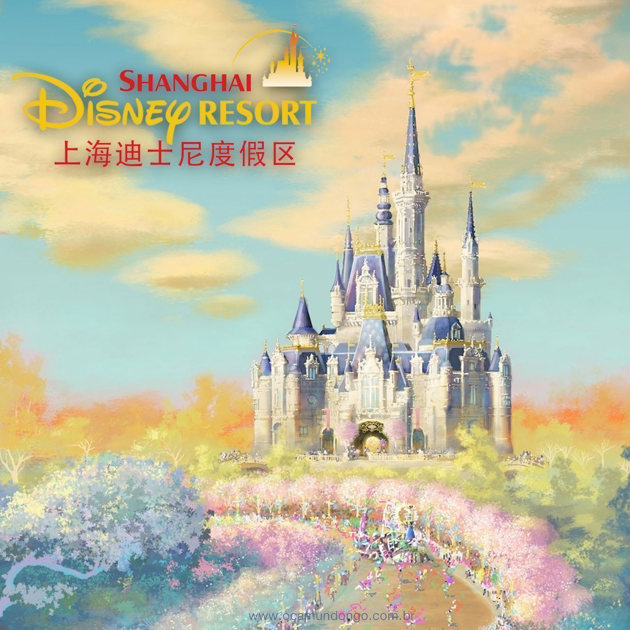 SD - 1300x1300 - TOPO