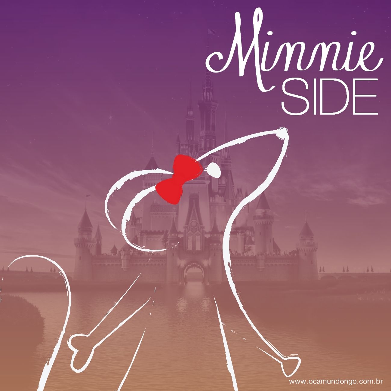 minnie-side-reciclagem-inicio-camundongo