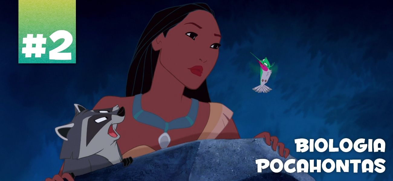 listas-professores-002