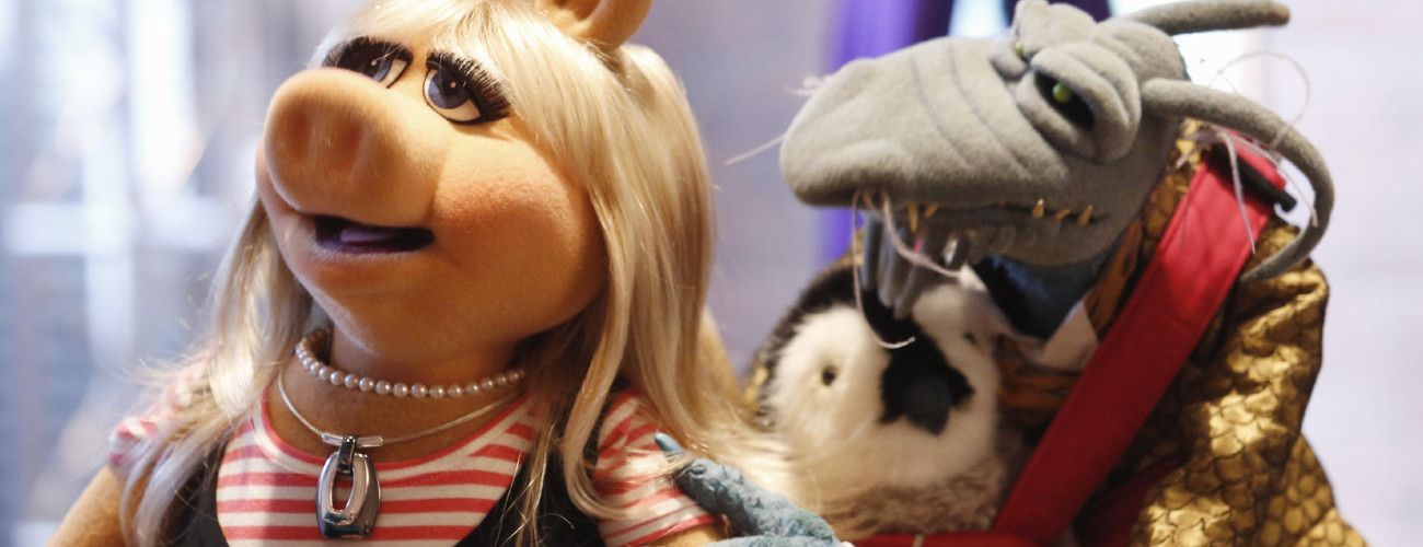 the-muppets-silk-001