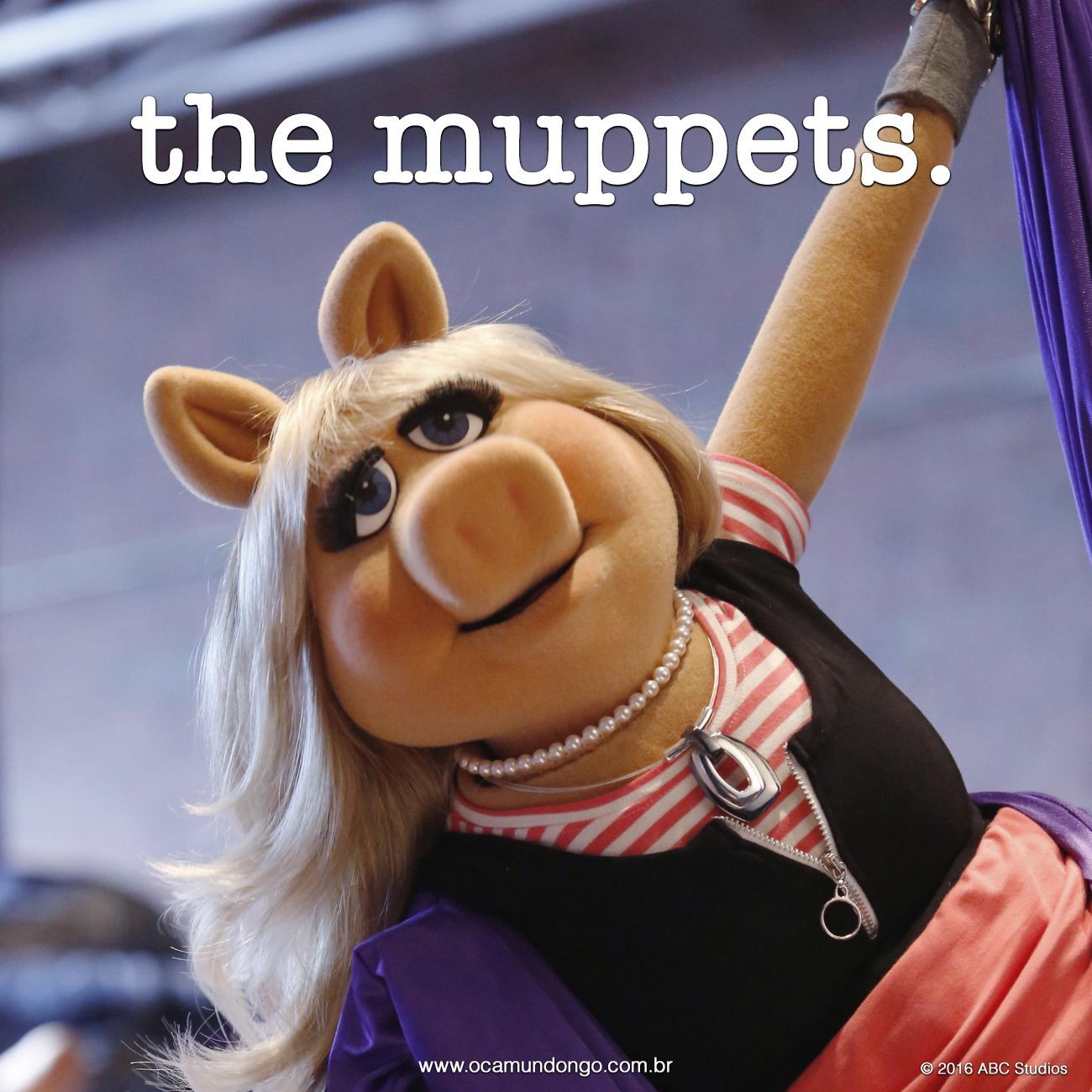 the-muppets-silk-inicio-camundongo