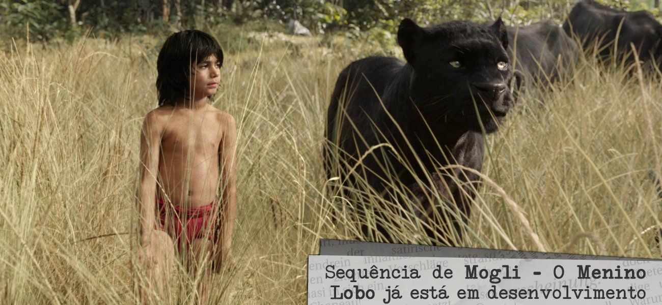 reporter-quadragesima-segunda-mogli