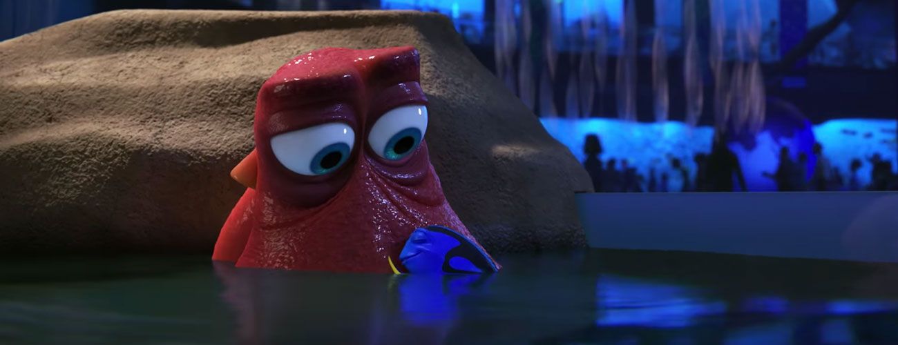 Dory-MEIO-4