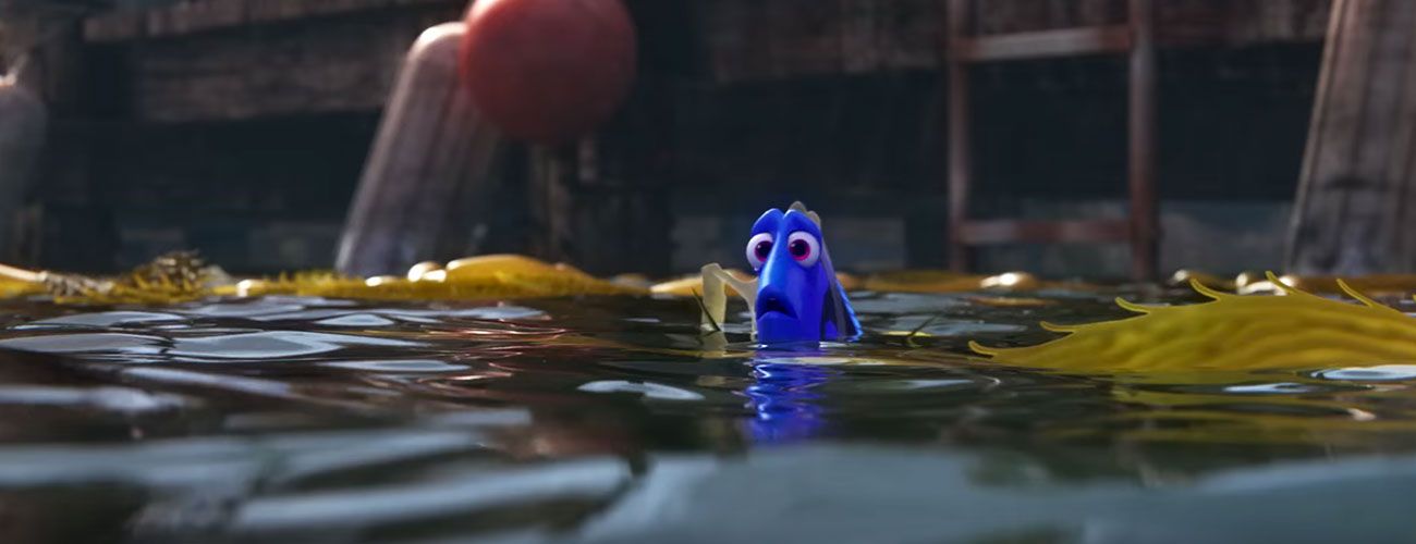 Dory-MEIO2