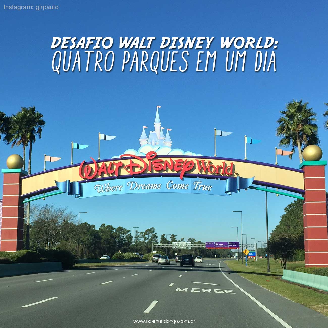 WDWCHALLENGE-TOPO