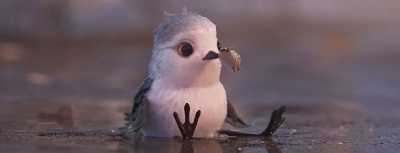 Piper-Pixar-Meio4