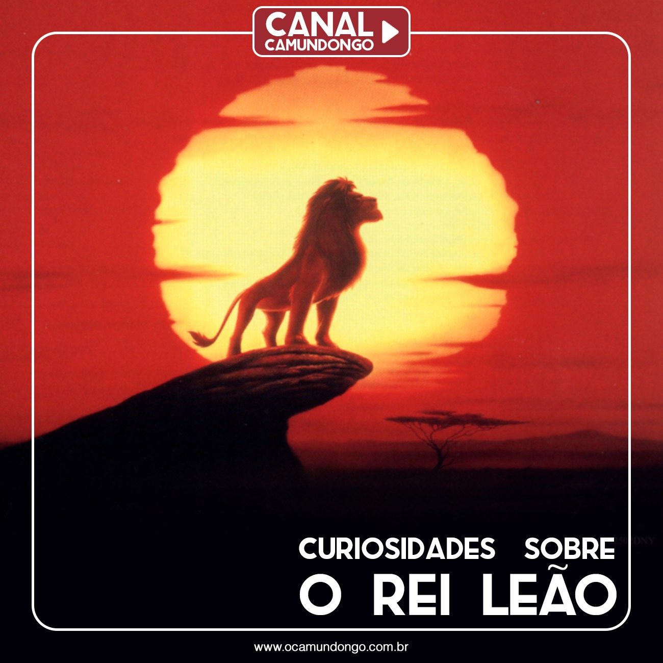 canal-rei-leao-inicio-camundongo