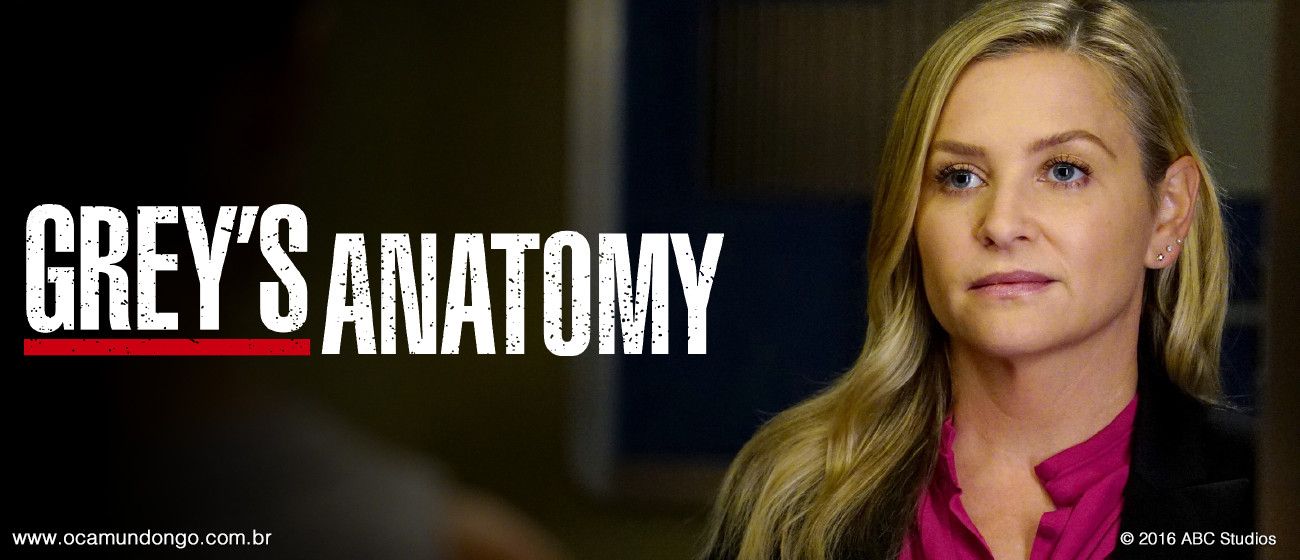 greys-anatomy-done-final-camundongo