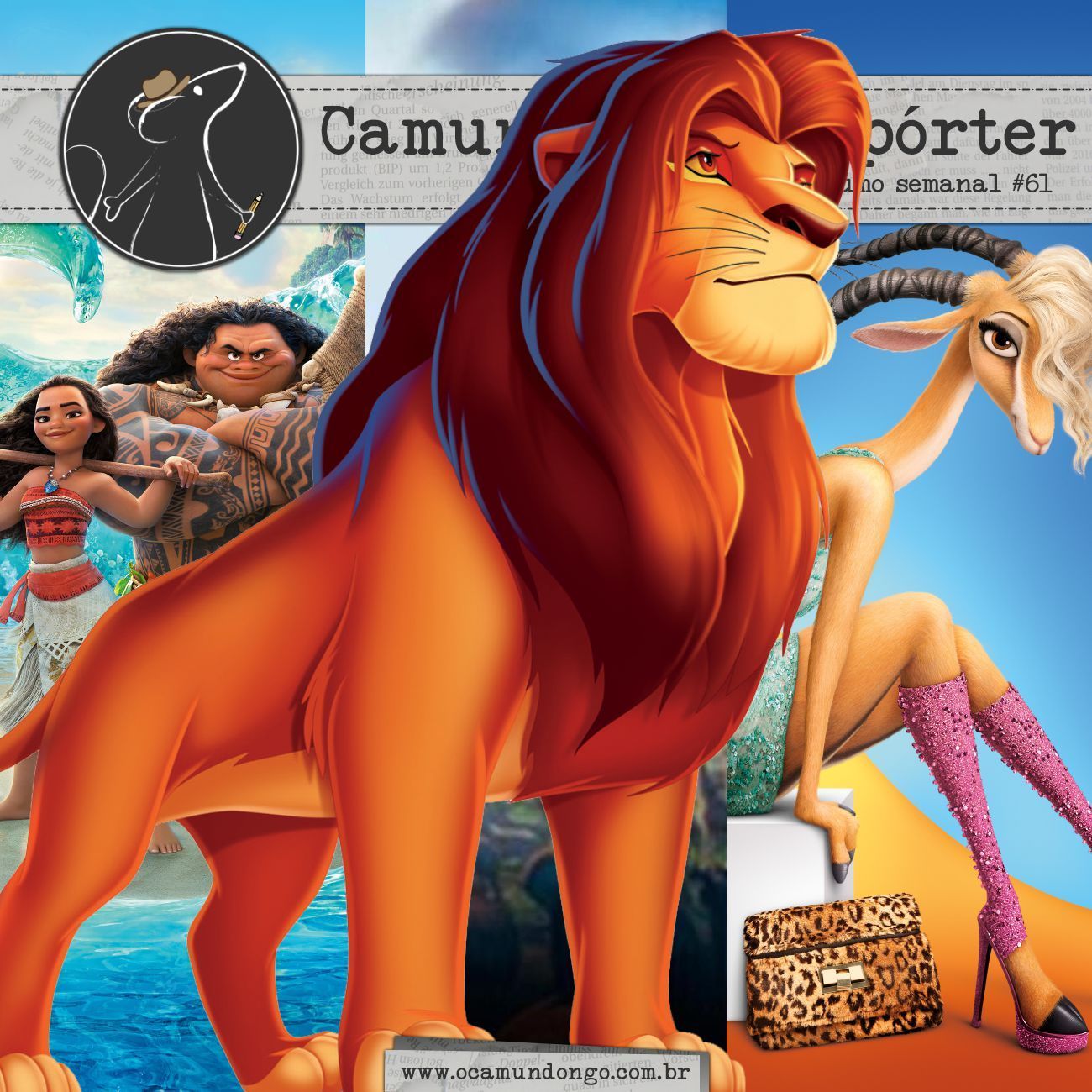 reporter-sexagesima-primeira-inicio-camundongo