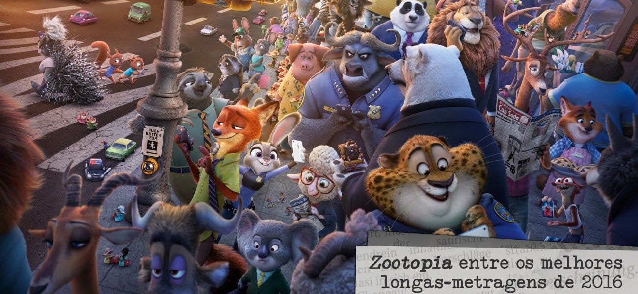 reporter-sexagesima-primeira-zootopia