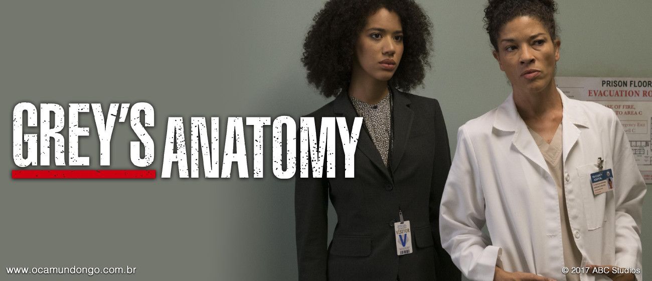 greys-anatomy-look-final-camundongo