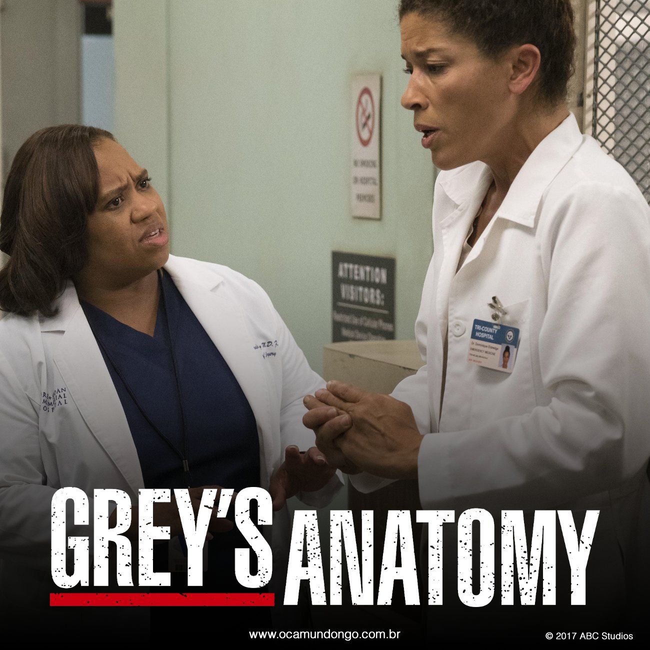 greys-anatomy-look-inicio-camundongo