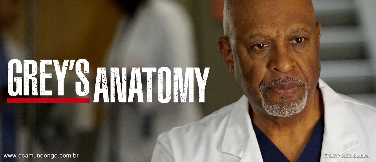 greys-anatomy-belong-final-camundongo