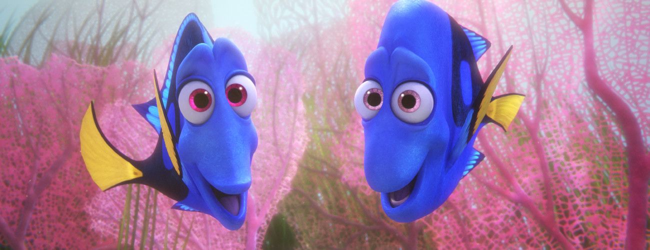 procurando-dory-incapacidade-002