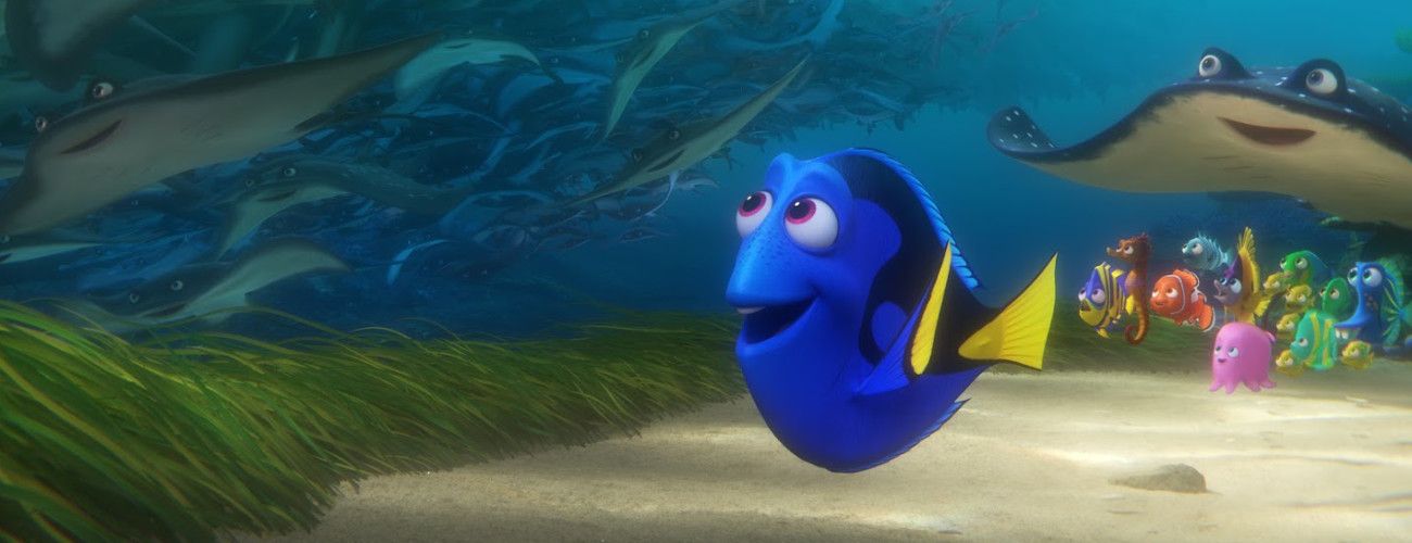 procurando-dory-incapacidade-003