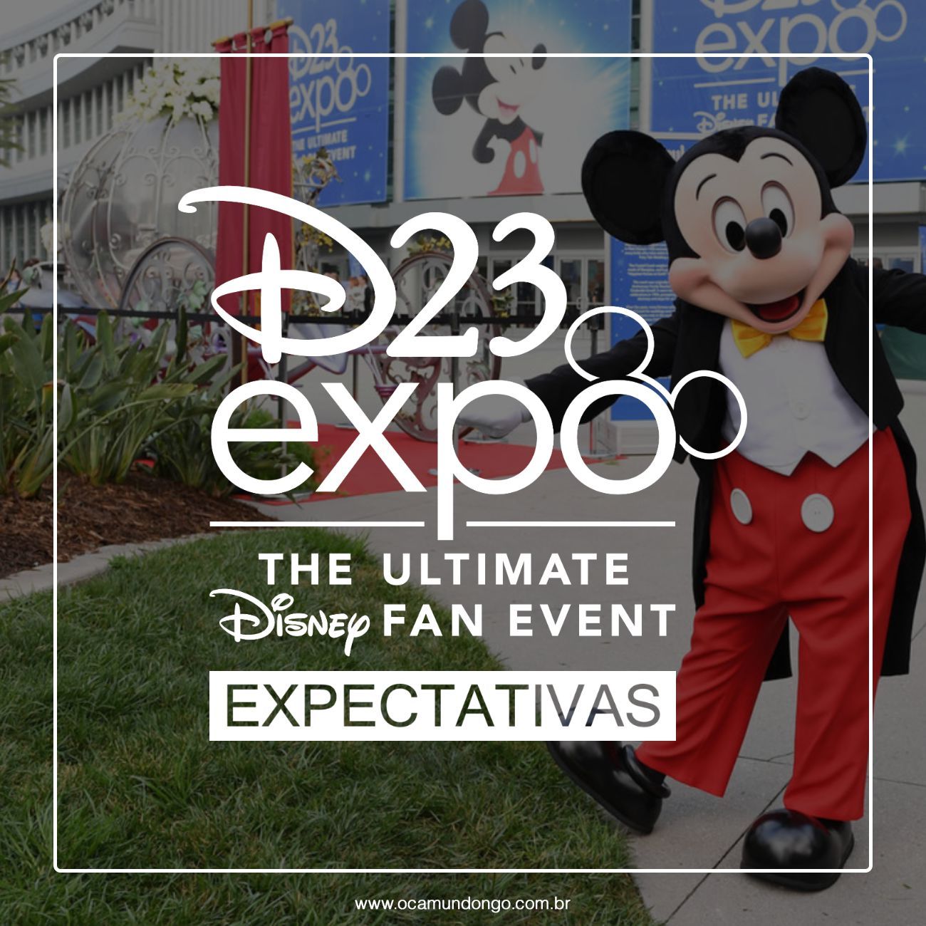 d23-expo-2017-expectativas-inicio-camundongo